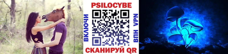 купить наркоту  Кашин  Галлюциногенные грибы мухоморы 